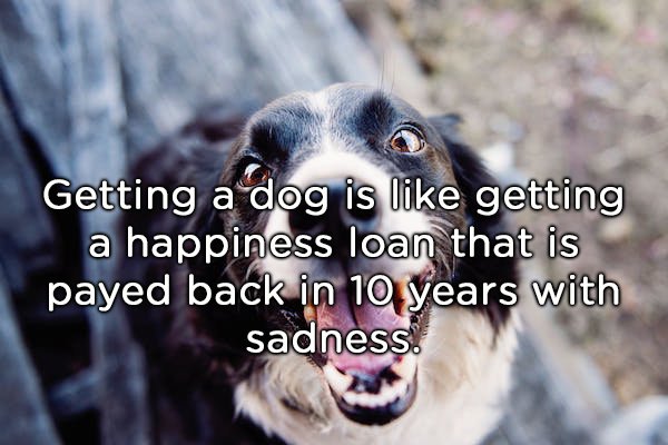 Shower Thoughts (20 pics)
