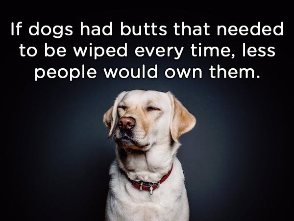 Shower Thoughts (20 pics)