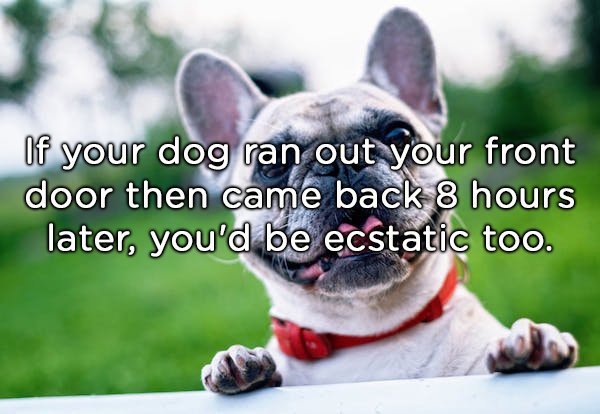 Shower Thoughts (20 pics)