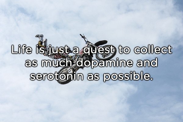 Shower Thoughts (20 pics)
