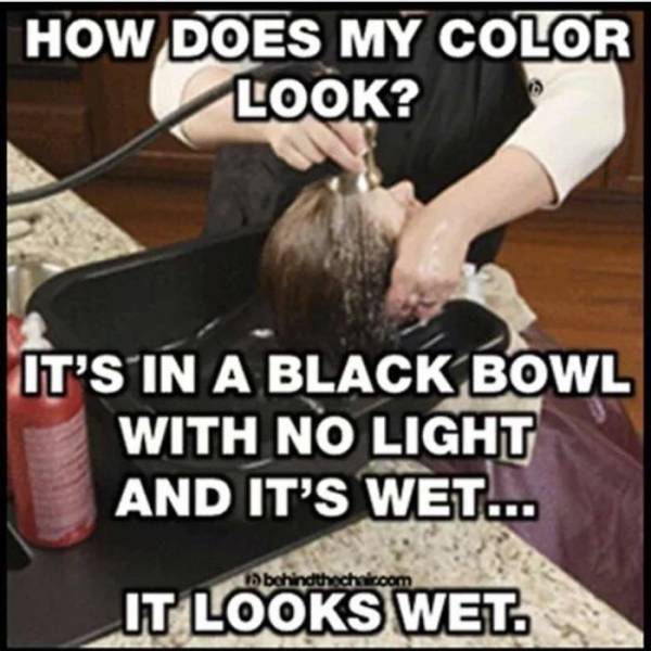 Hairstylist Memes (40 pics)