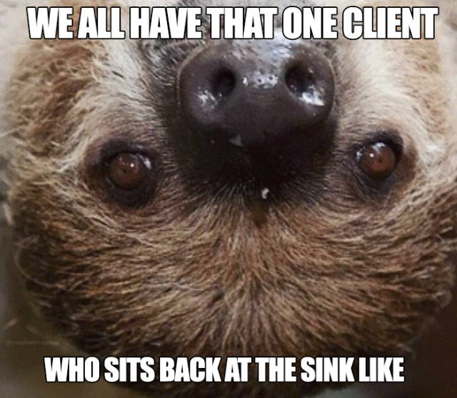 Hairstylist Memes (40 pics)