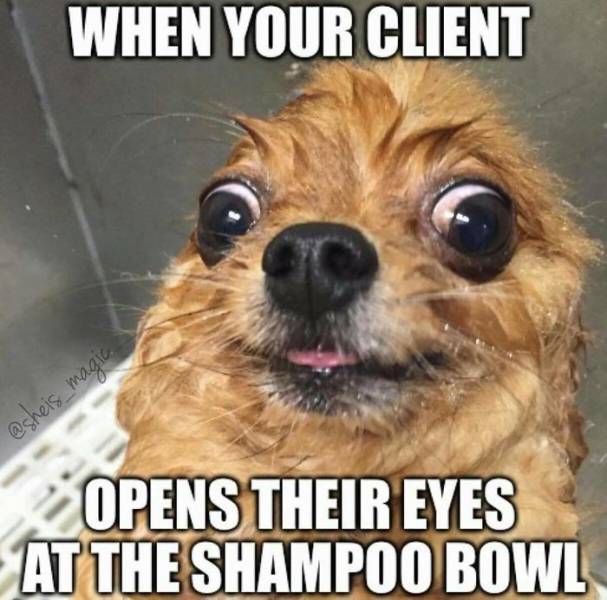 Hairstylist Memes (40 pics)