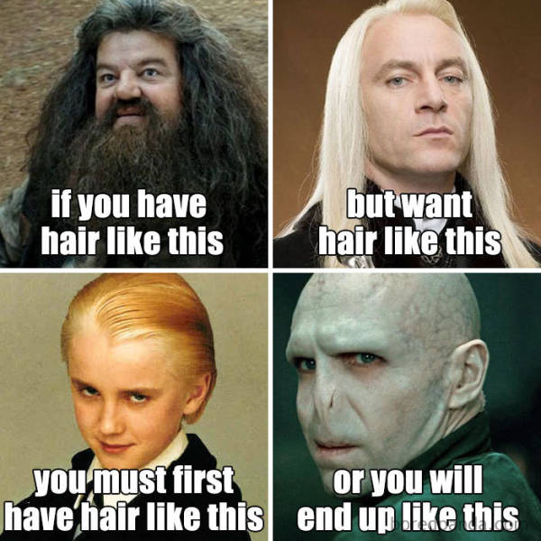 Hairstylist Memes (40 pics)