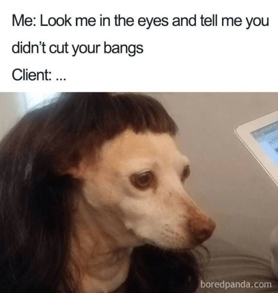 Hairstylist Memes (40 pics)