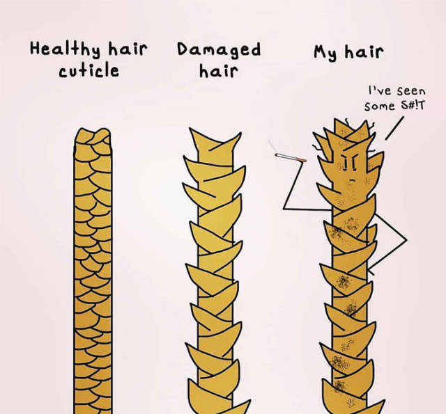 Hairstylist Memes (40 pics)