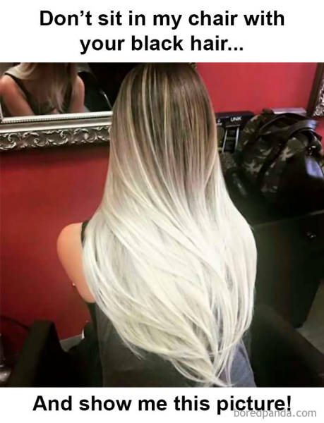 Hairstylist Memes (40 pics)