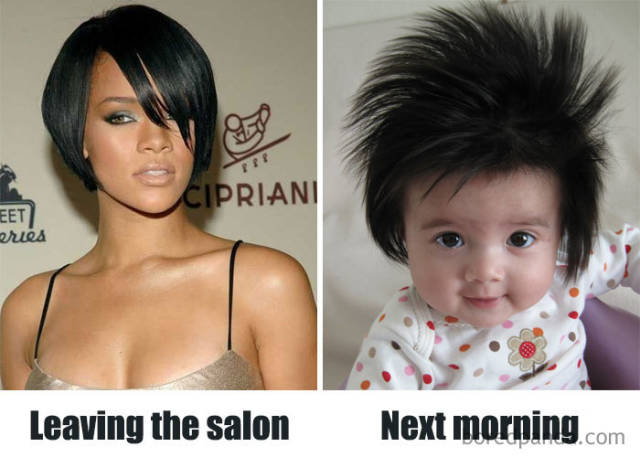 Hairstylist Memes (40 pics)
