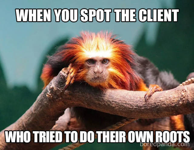 Hairstylist Memes (40 pics)