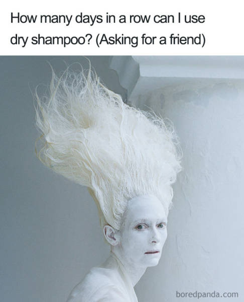 Hairstylist Memes (40 pics)