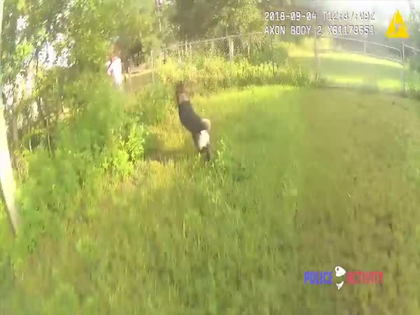 Bodycam Shows Officer Deploy K9 On Fleeing Driver Of Stolen Vehicle