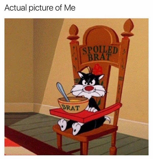 These Pictures Are Very Funny (26 pics)