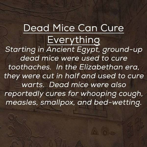 Ancient Medicine Was Both Spectacular And Disgusting (20 pics)