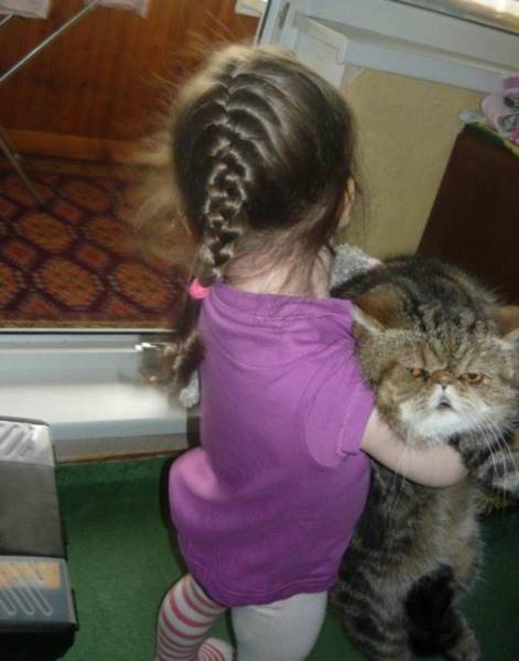 Funny Animals (39 pics)