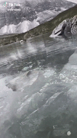 Acid Gifdump, September 10, 2018 (25 gifs)