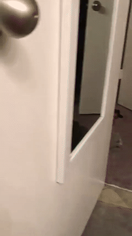 Acid Gifdump, September 10, 2018 (25 gifs)