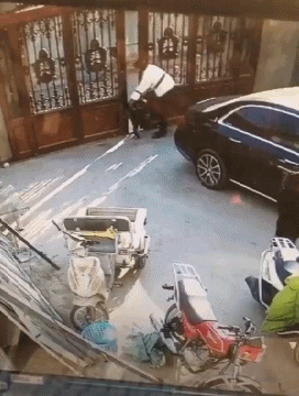 Acid Gifdump, September 10, 2018 (25 gifs)