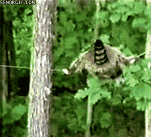 Acid Gifdump, September 10, 2018 (25 gifs)