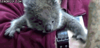 Acid Gifdump, September 10, 2018 (25 gifs)
