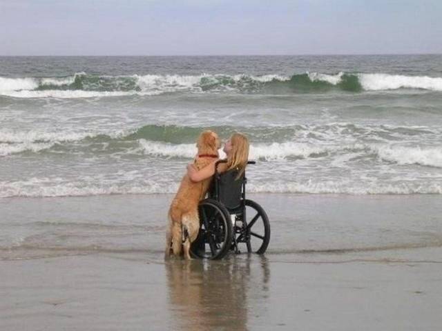 When A Picture Says More Than Just A Thousand Words (51 pics)
