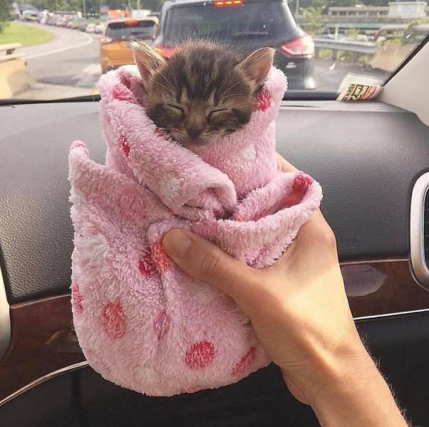 When A Picture Says More Than Just A Thousand Words (51 pics)