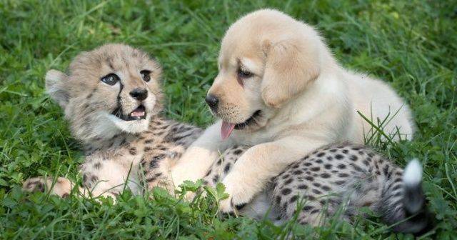 When A Picture Says More Than Just A Thousand Words (51 pics)