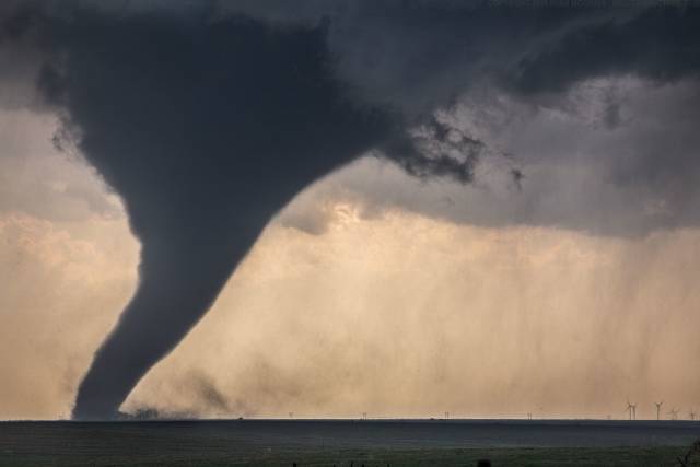 When A Picture Says More Than Just A Thousand Words (51 pics)