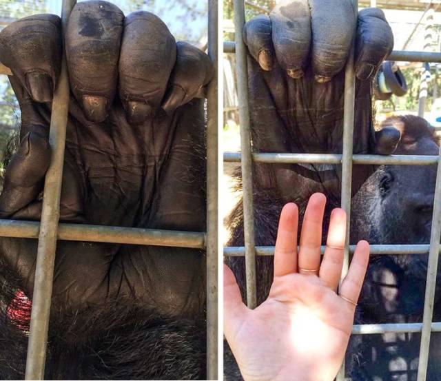 When A Picture Says More Than Just A Thousand Words (51 pics)