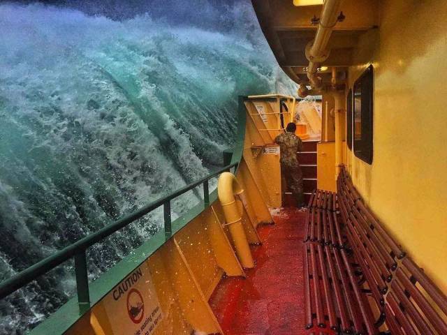 When A Picture Says More Than Just A Thousand Words (51 pics)