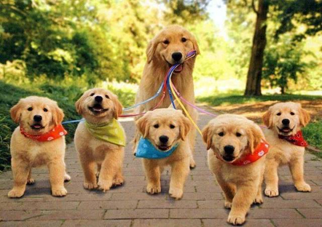 When A Picture Says More Than Just A Thousand Words (51 pics)