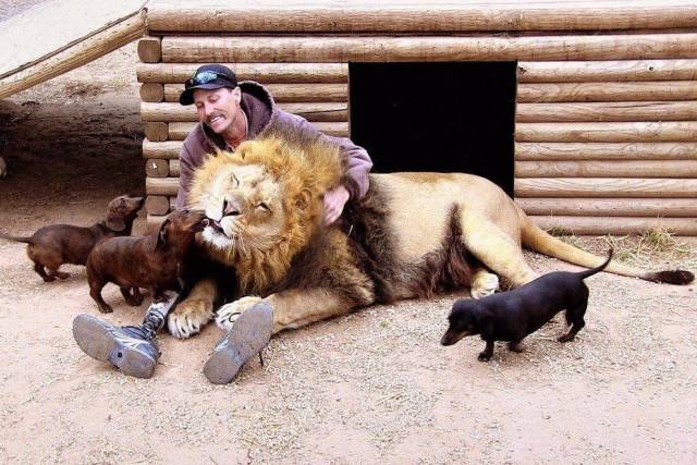 When A Picture Says More Than Just A Thousand Words (51 pics)