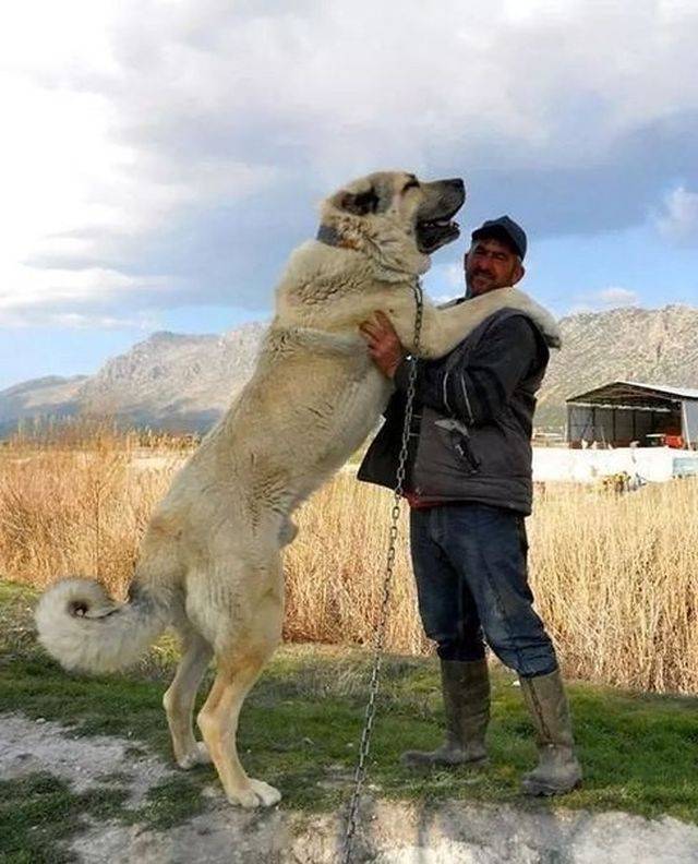 When A Picture Says More Than Just A Thousand Words (51 pics)