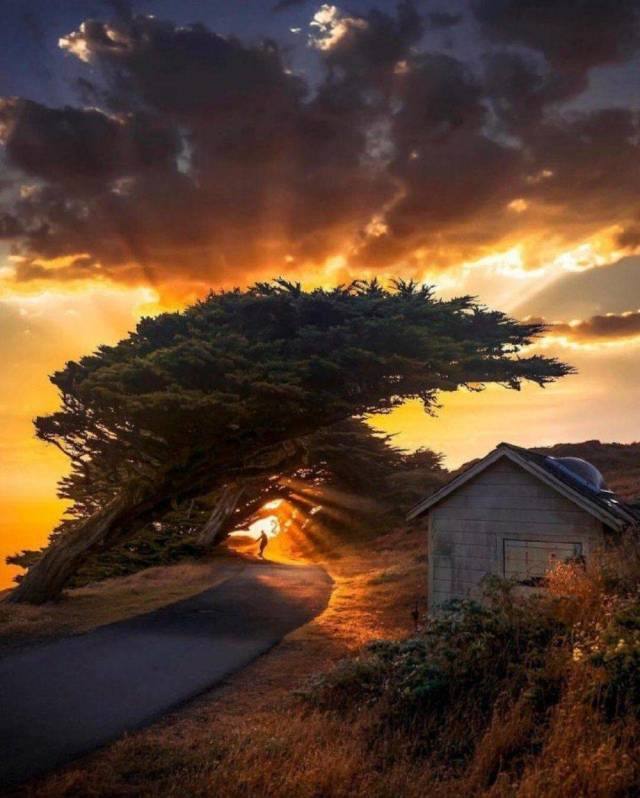 When A Picture Says More Than Just A Thousand Words (51 pics)