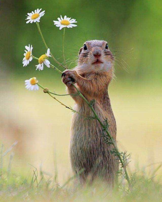 When A Picture Says More Than Just A Thousand Words (51 pics)