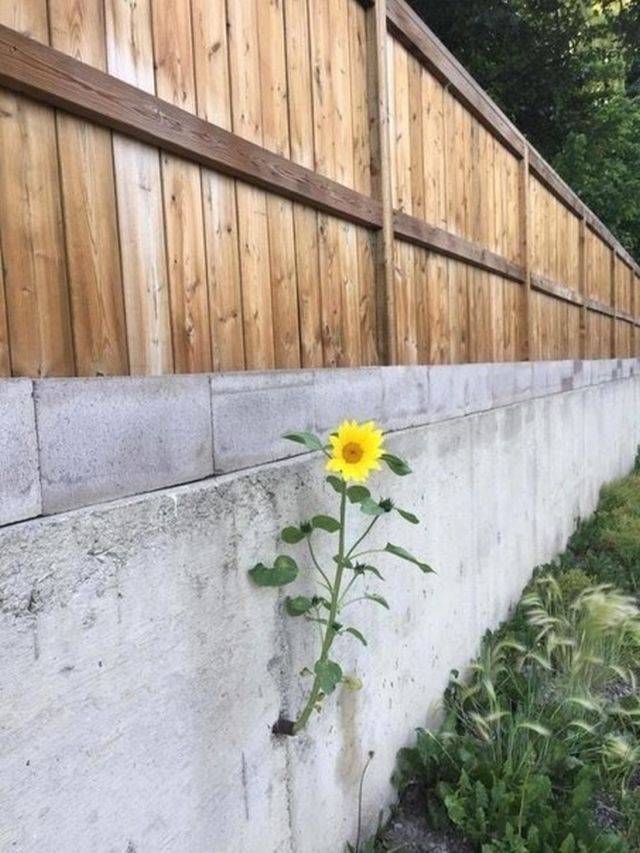 When A Picture Says More Than Just A Thousand Words (51 pics)