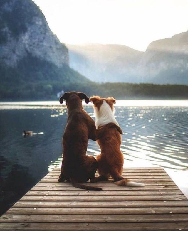 When A Picture Says More Than Just A Thousand Words (51 pics)
