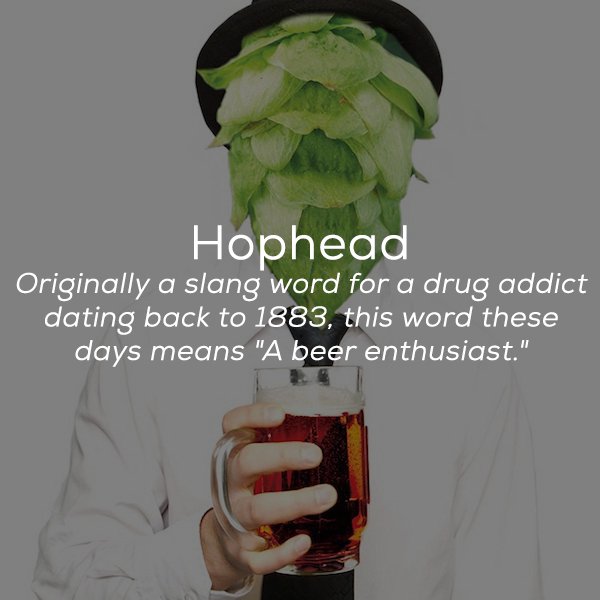 New Words In The Dictionary (22 pics)