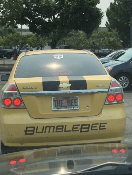 Strange Cars (40 pics)
