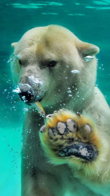 Acid Picdump (90 pics)