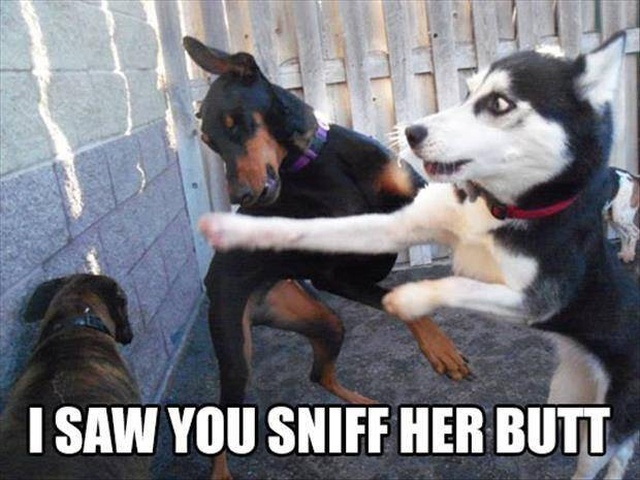 Acid Picdump (90 pics)