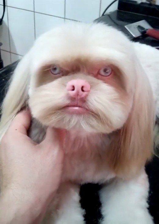 Acid Picdump (90 pics)