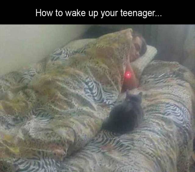 Acid Picdump (90 pics)