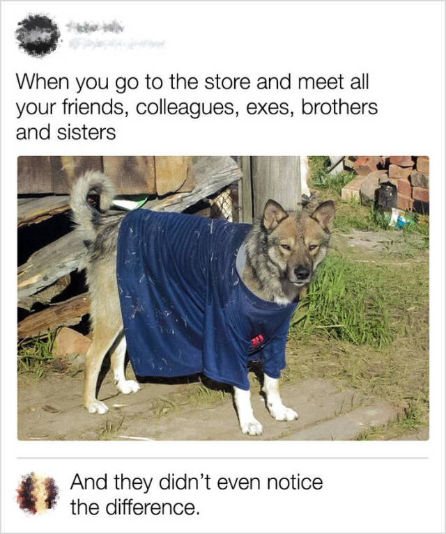 Smart Comments (22 pics)