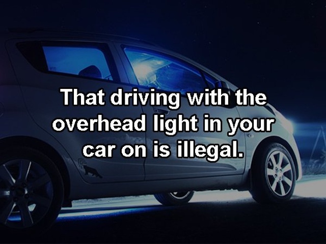 Facts That Are Not True (13 pics)