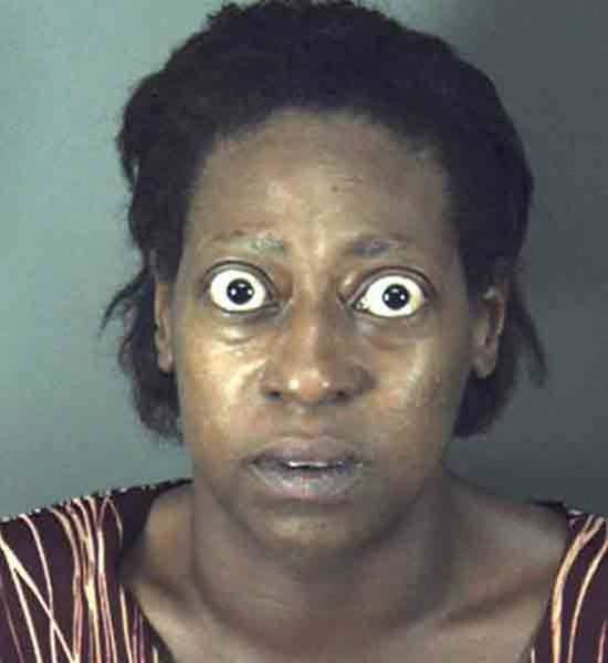 Weird Mugshots (24 pics)