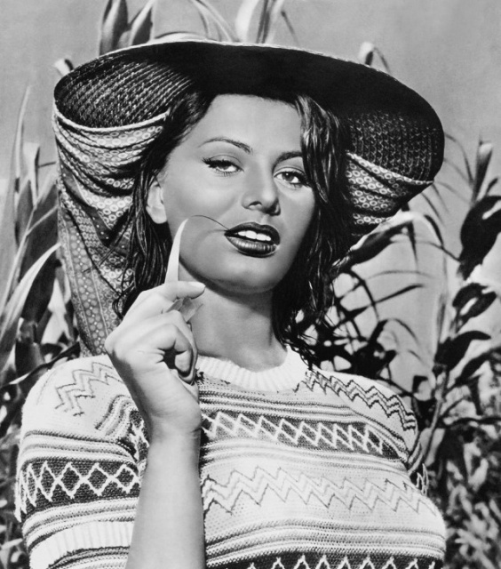Beautiful Woman Sophia Loren (26 pics)