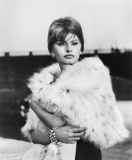 Beautiful Woman Sophia Loren (26 pics)