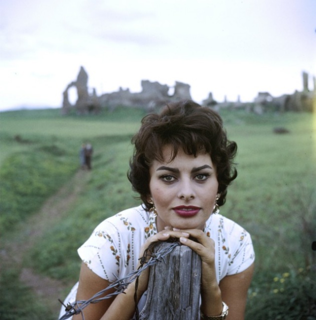 Beautiful Woman Sophia Loren (26 pics)
