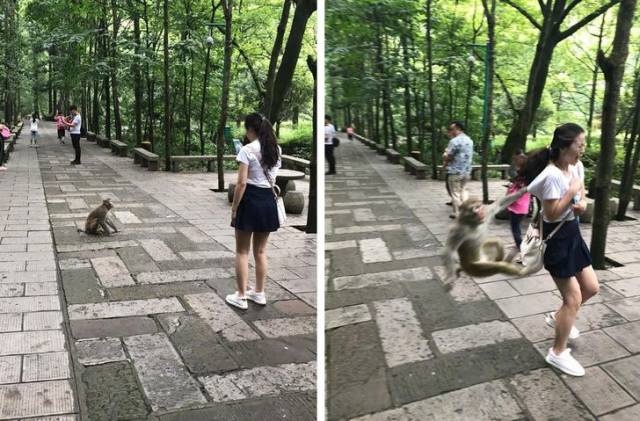 Sh*t Happens (39 pics)