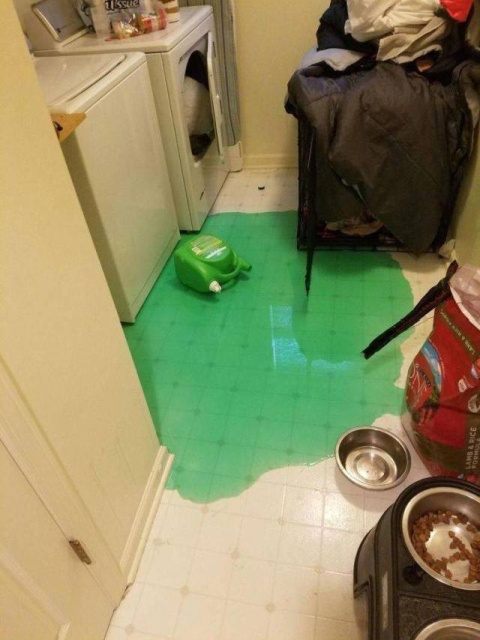 Sh*t Happens (39 pics)